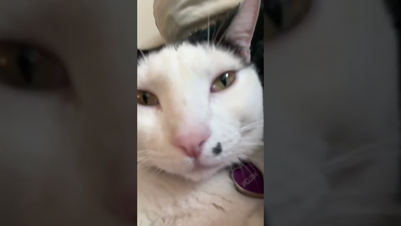 STINKY STINKER ALERT 🤢🚨 