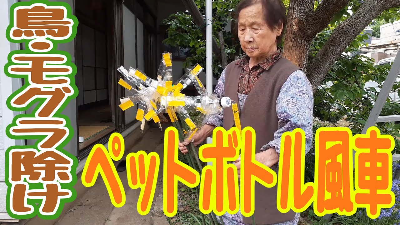 【鳥・モグラ除け】90歳のペットボトル風車作り！ #20