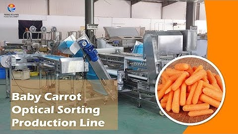 Carrot Grading Machine Sorting and Conveyor Processing Line