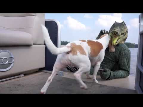 crocodile-man-pranks-dog-on-lake-funny-dog-maymo