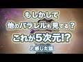 ★もしかして他のパラレルも見えてる? これが5次元!? と思った話