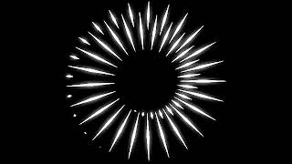 Spiral Waves