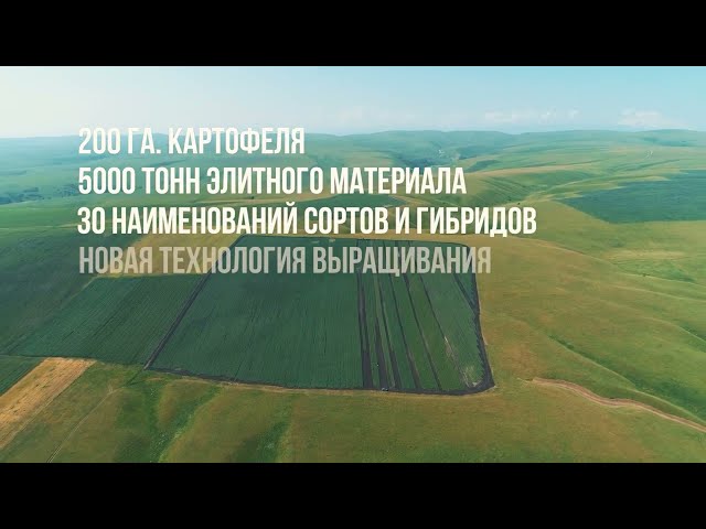 Краткий обзор деятельности ООО 