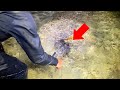 大穴に隠れてる3.7kgの巨大生物を捕獲して食べてみた【イジャイ・イザリ】