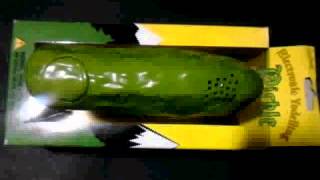 Electronic Yodelling Pickle.avi
