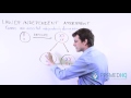 Genetics Through Mendel's Lens The Legacy of Independent Assortment and Meiosis