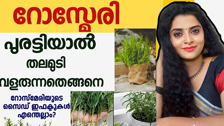 റോസ്മേരി വാട്ടർ പുരട്ടിയാൽ തലമുടി വളരുന്നത് എങ്ങനെ ?Rosemary essential oils side effect 😱rosemary