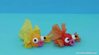 Egg Carton Goldfish Net Worth