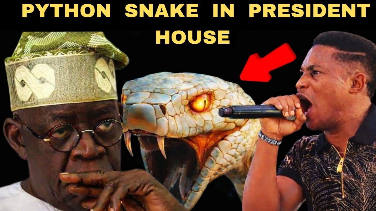 Pastor Jerry Eze and The Python In the President House 