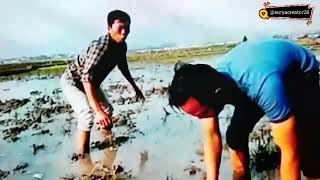 Wa story lucu Ubed saef nyari belut berujung gelut 😂