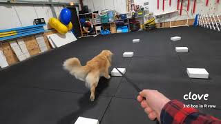 Alan December 2024 Ort