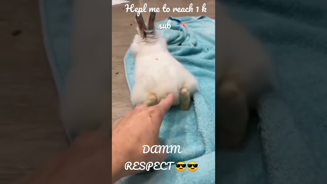 DAMM RESPECT 😎😎| like a boss complication🤯 | respect | savage moments |