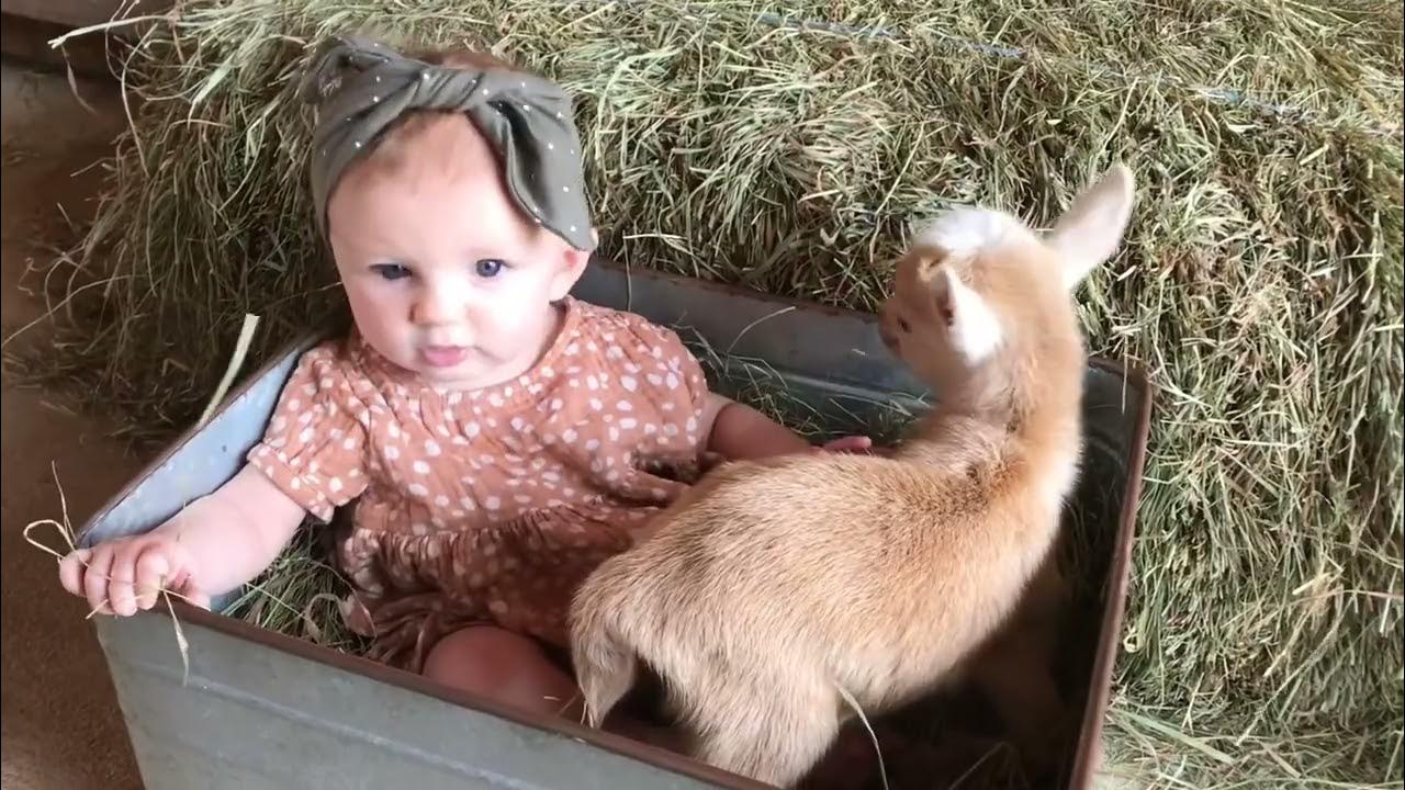 Adorable Infant Bonds with Baby Goats YouTube