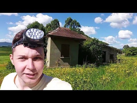 Casa abandonada, entramos no porão!!! 🏚😱🐝🔦