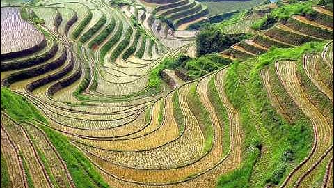 النبأ بصوت القارئ زيد العباسي