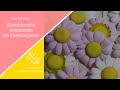 Маленькие ромашки из фоамирана 🌸 chamomile from foamiran🌸