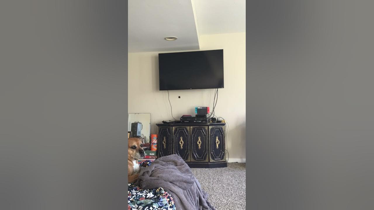 Closing To Postcards From Buster Buster's Buddies 2005 DVD YouTube