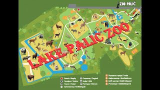 Lake Palic Zoo Subotica Palicko Jezero Serbia
