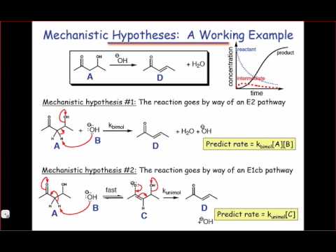 mechanistic hypothesis biology