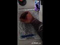 Uzumaki line  Live Stream draw gojo saturo #animedrawing #drawing