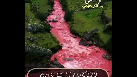 ولا تدع مع الله إلـٰهاً آخر.. سورة القصص للقارئ إسلام صبحي