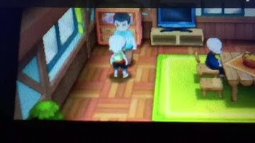 guide to changing shaymin