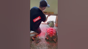 How I Keep The Tortoises From Getting Cold: My Unexpected Solution!
