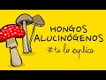 TODO LO QUE NECESITA SABER SOBRE LOS HONGOS ALUCINOGÉNOS Y LA PSYLOCIBINA | #TELOEXPLICO