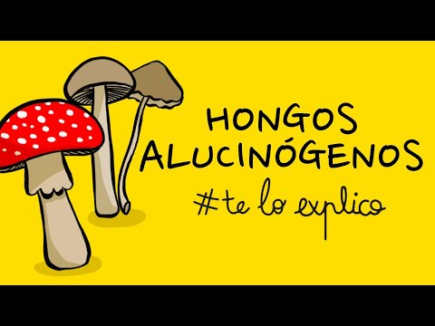 Video: Primer de hongos y moho: tipos, reglas de aplicación