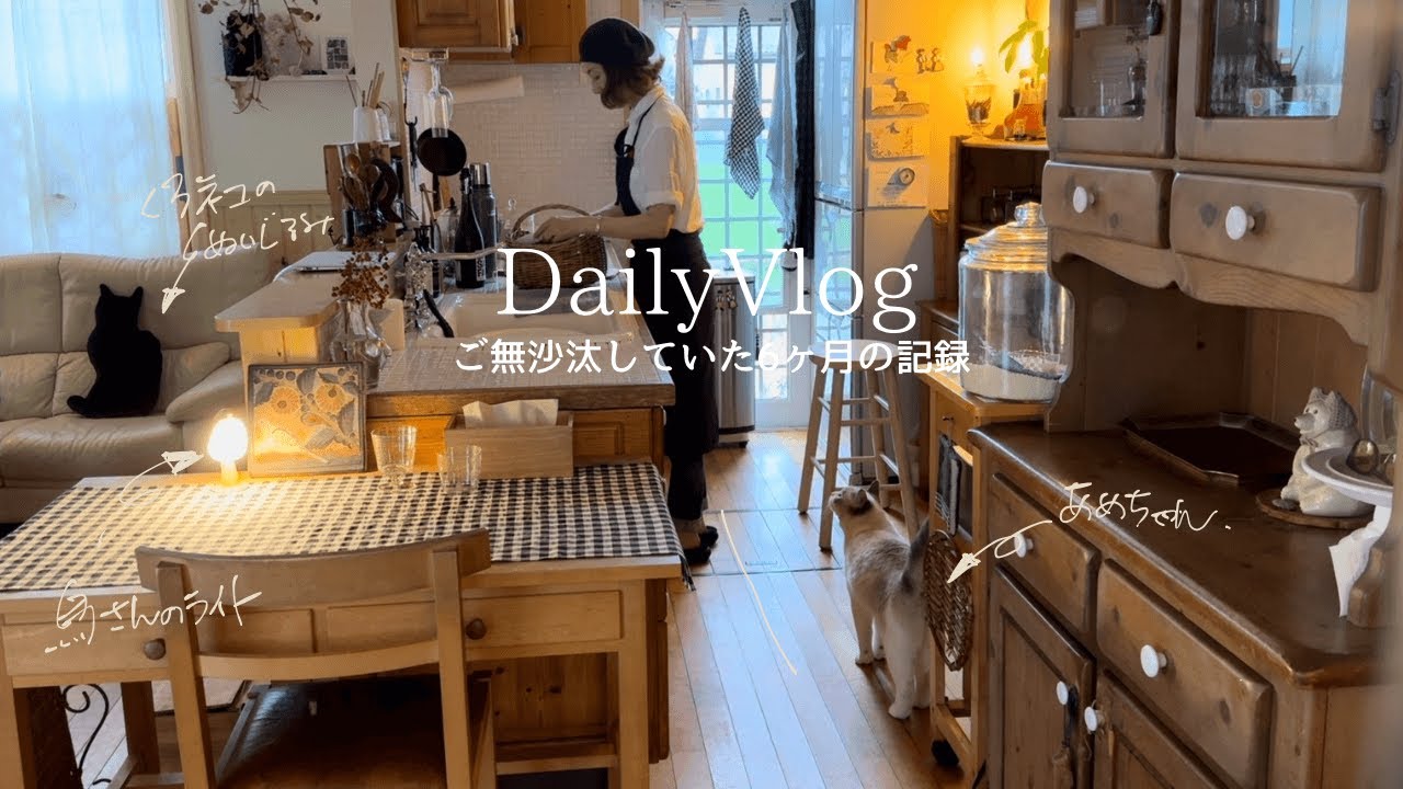 暮らしのvlog｜半年の記録｜辛いことから立ち直って｜新入りの小物の数々