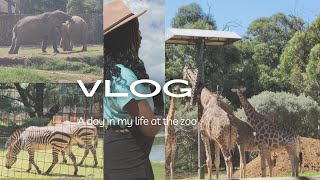 My first VLOG | A day at the Johannesburg Zoo!