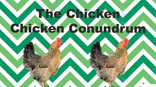 The chicken chicken conundrum