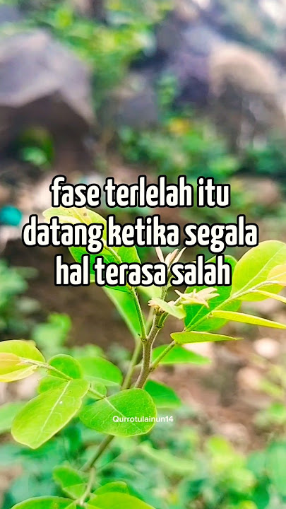 Download lagu fese terlelah itu datang ketika segala hal terasa salah. #motivasihidup #doaharian