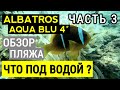 Albatros Aqua Blu 4*, обзор пляжа, опасные обитатели Красного моря, заход в море, коралловый риф