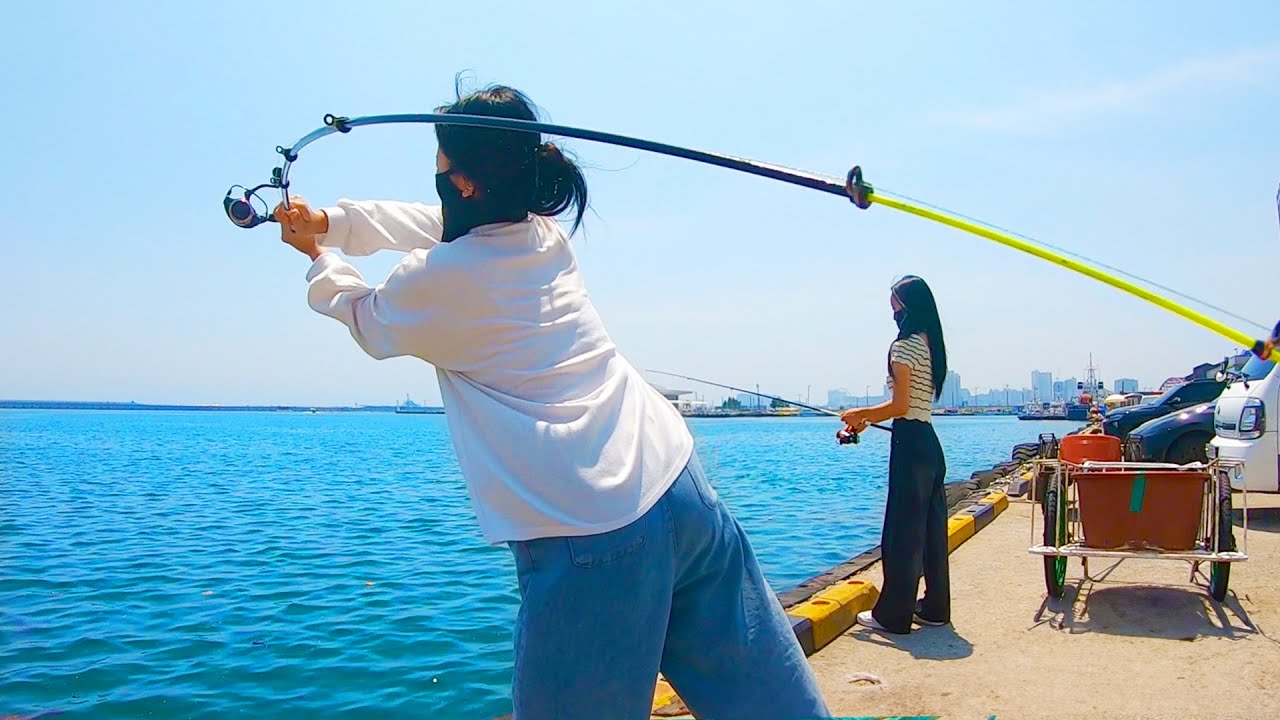 대체 제가 잡아 올린 건 뭘까요...? - 속초에서 생긴 일(끝)