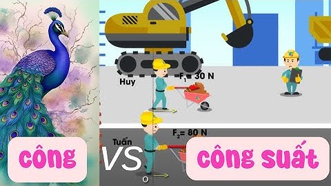KHTN 9| Công và công suất sự khác biệt là gì? _ Bài học thú vị của Trạng