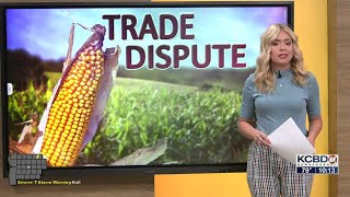 U.S. working to settle dispute over GMO corn with Mexico