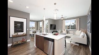 Celebrity Eleven10 Apartment Homes - B4 Two Bedroom Wealth