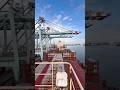 #itajaisc #navio #logistica #naviocruzeiro cruzeiro