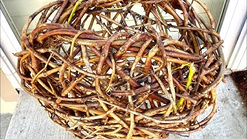 How to make a basket from grapevine.