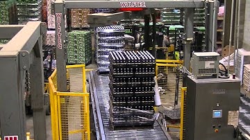 Wulftec Pallet Stretch Wrapper