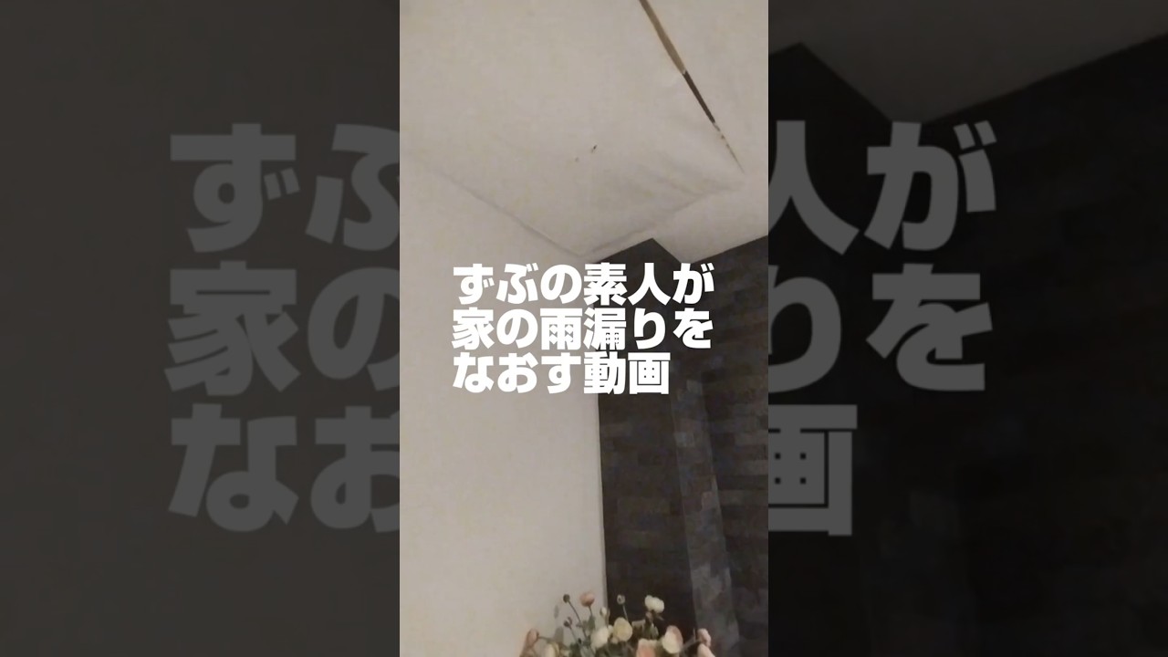 【5905LIFE 雨漏り修理③】ずぶの素人だけどボード貼りやパテ処理やってみました！あと一歩！#shorts #雨漏り