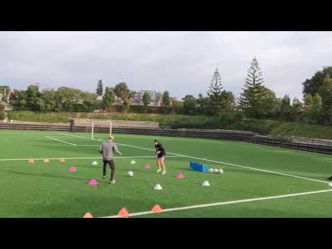 Ava's Training