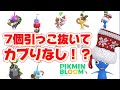 【こんなの初めて】7連続でダブり無し!?オーナメントデコピクミン引っこ抜きで奇跡を起こす!!【#ピクミンブルーム / #PikminBloom 】