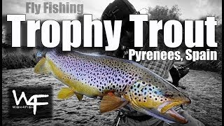 W4F - Fly Fishing Trophy Trout in Pyrenees, Spain