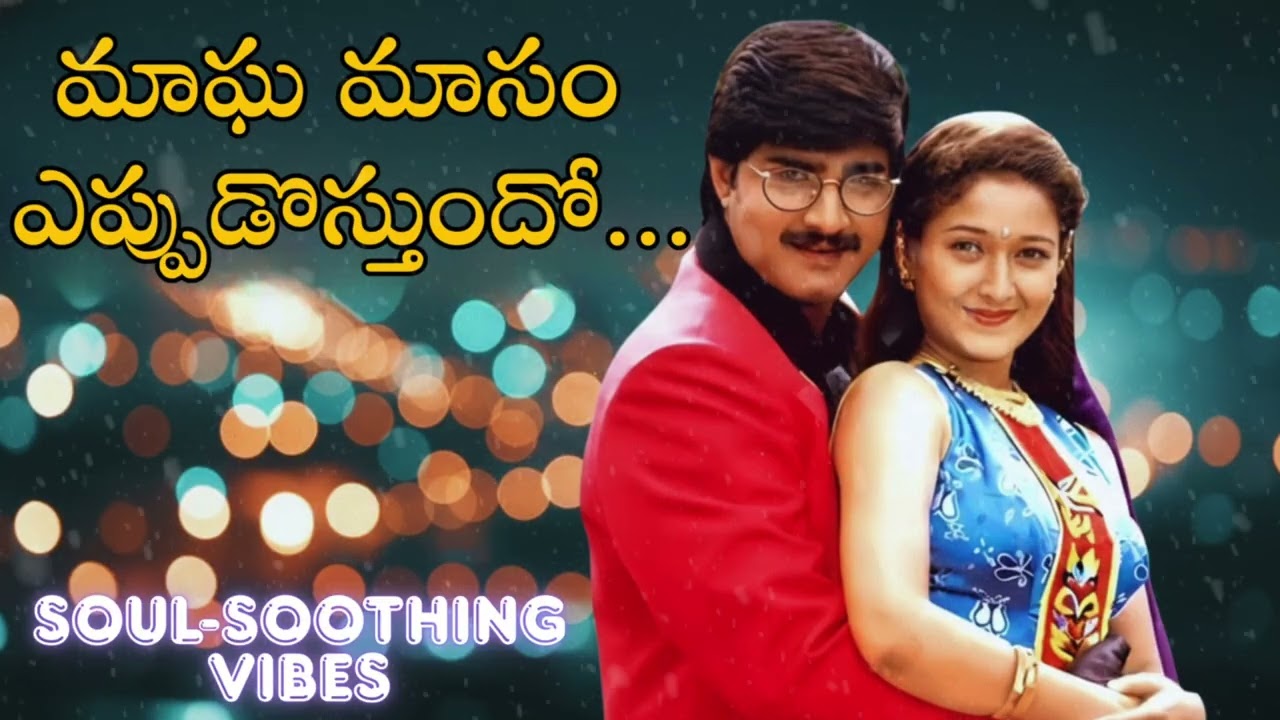 Maagha Maasam Song |  lo-fi remix | Egire Paavurama Movie Songs | Srikanth | Laila | JD Chakravarthy