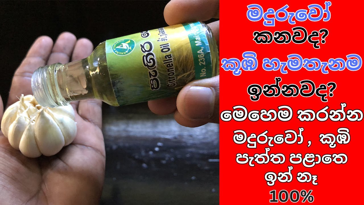 මෙහෙම කරොත් මදුරුවෝ, කූඹි පැත්ත පළාතේ ඉන් නෑ ශුවර් /how to get rid of ants and mosquitoes