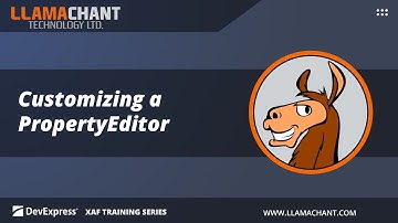 Customizing a PropertyEditor - DevExpress XAF