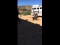 GTS GROUND DUMMY by Tuf Kaf