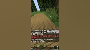 The Minecraft most useless thing